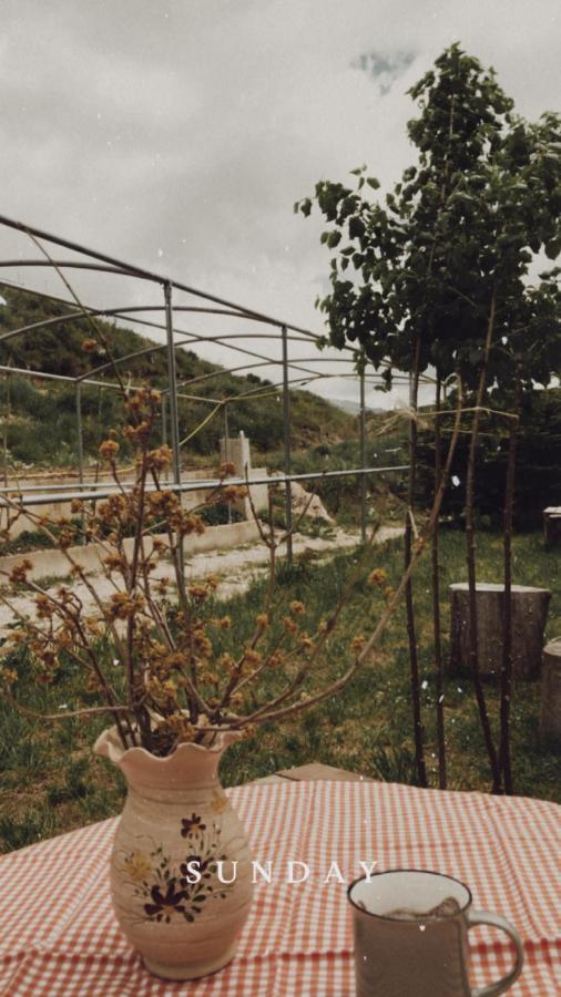 Albergue Bujtina Hader Xhebro Tepelene Exterior foto