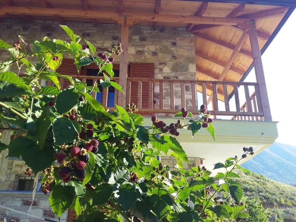 Albergue Bujtina Hader Xhebro Tepelene Exterior foto
