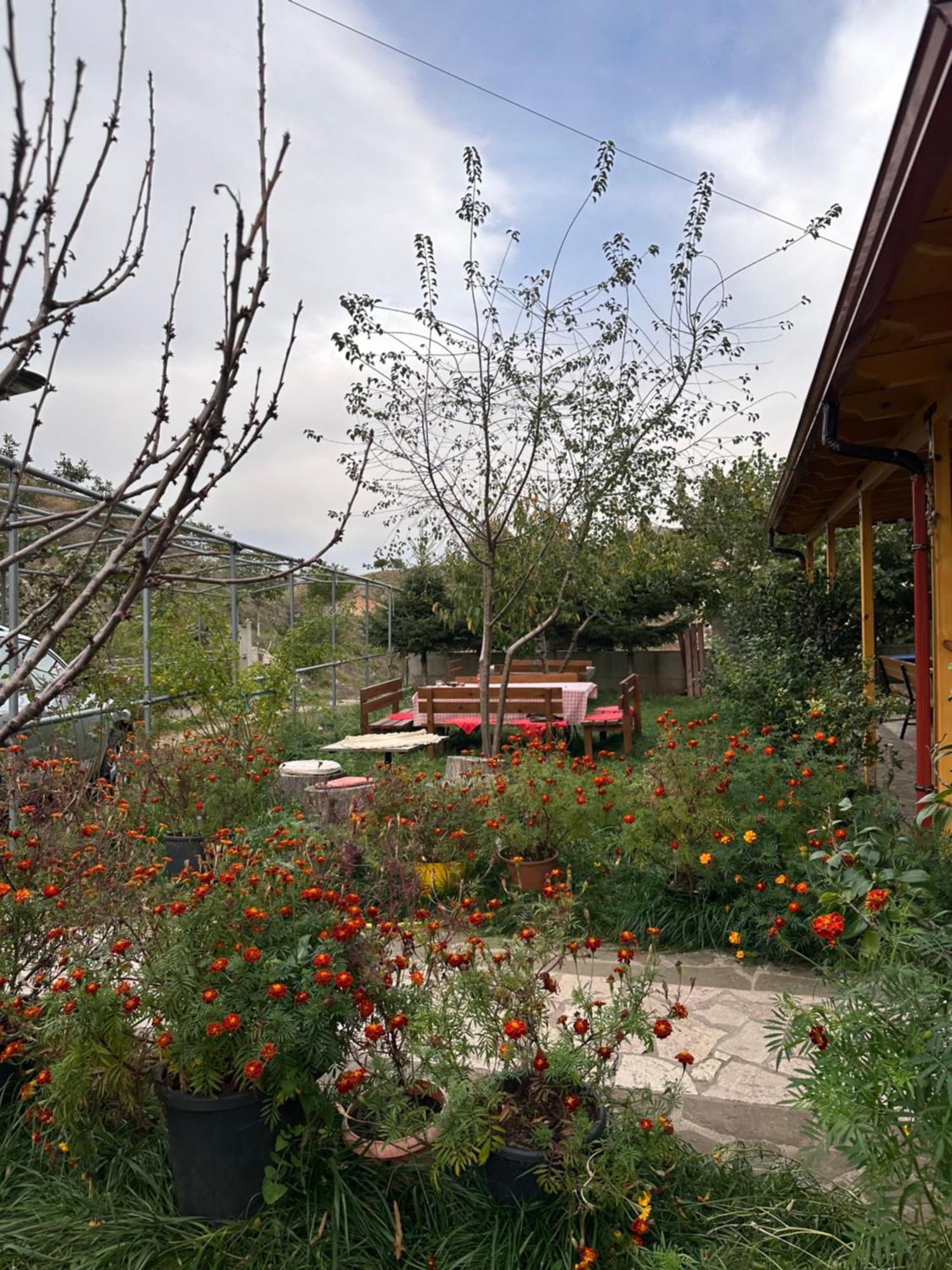Albergue Bujtina Hader Xhebro Tepelene Exterior foto
